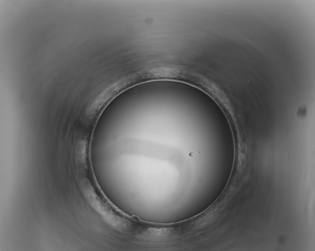 X0000112820057200908281540