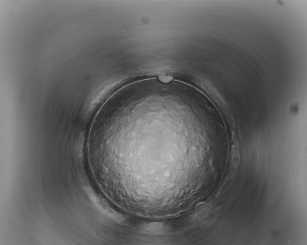 X0000112820058200908281540