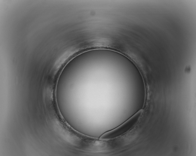 X0000112820060200908281540