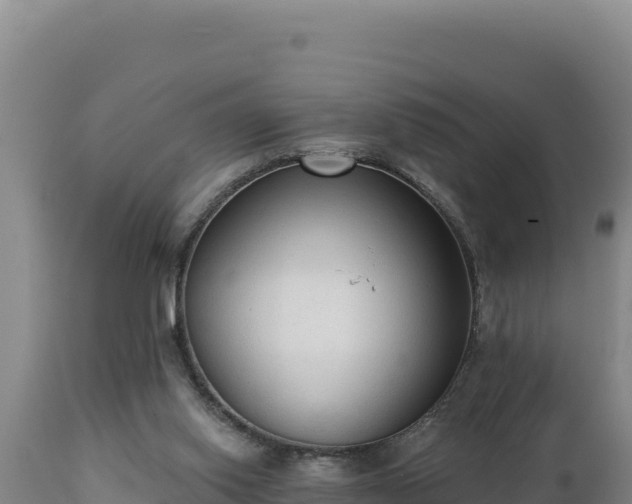 X0000112820062200908281540