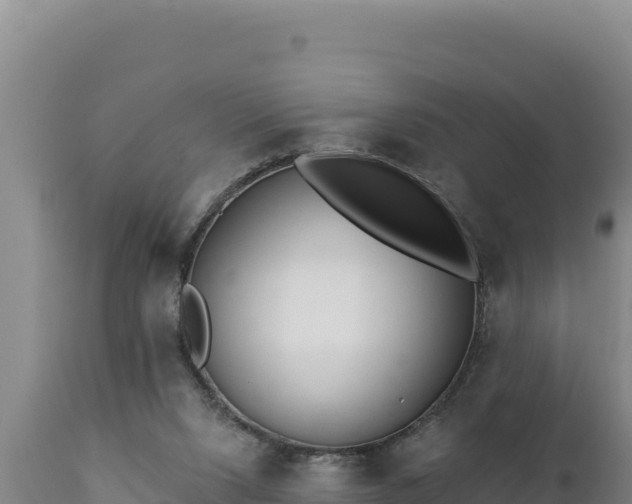 X0000112820064200908281540