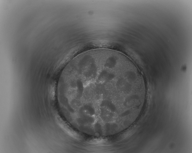 X0000112820065200908281540