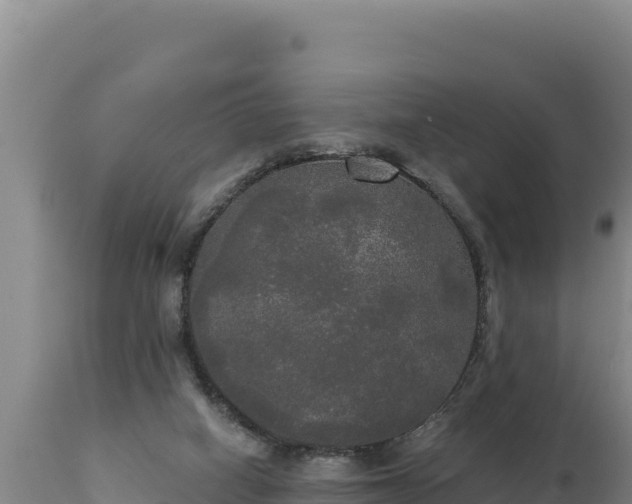 X0000112820066200908281540