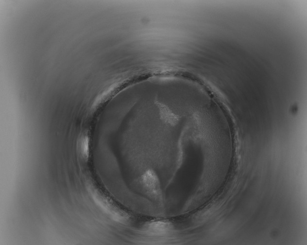 X0000112820067200908281540