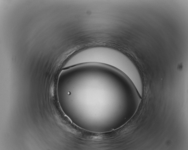 X0000112820068200908281540