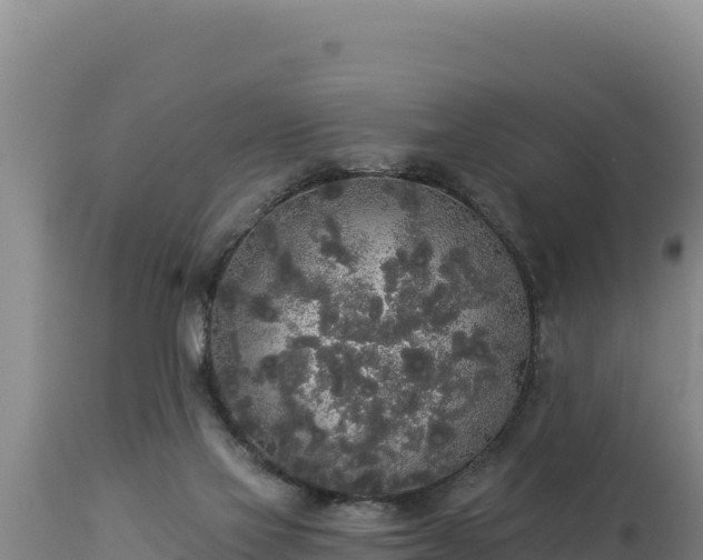 X0000112820069200908281540