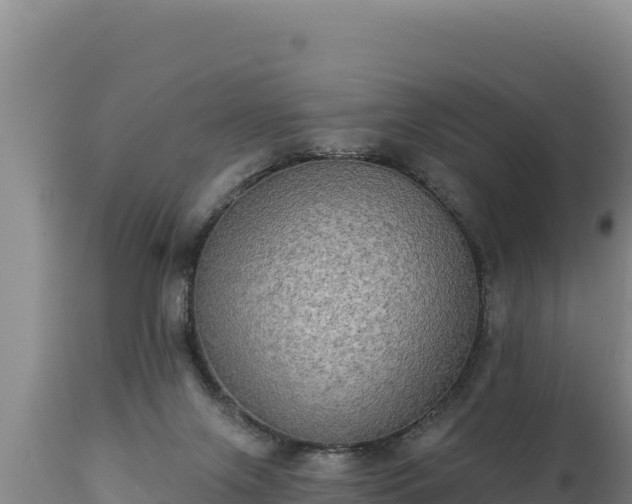 X0000112820071200908281540