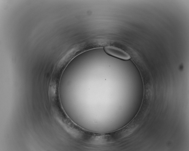 X0000112820072200908281540