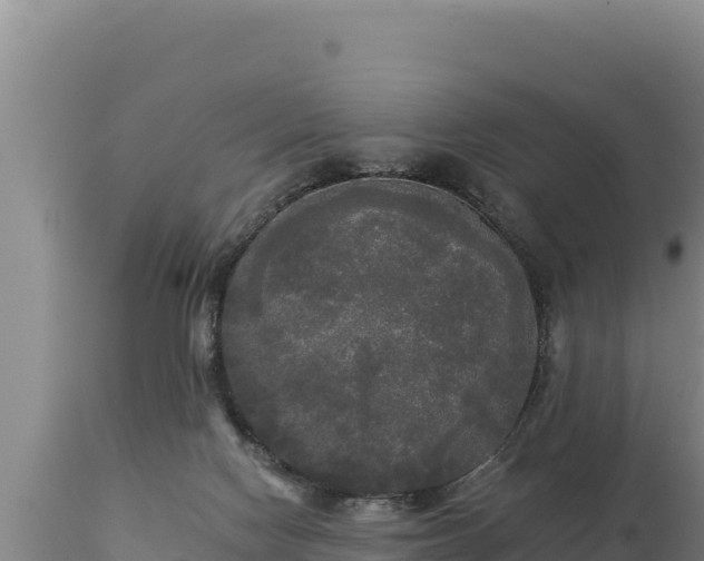 X0000112820074200908281540