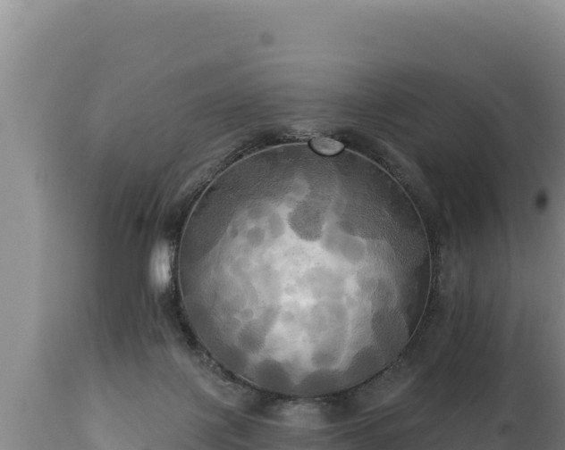 X0000112820075200908281540