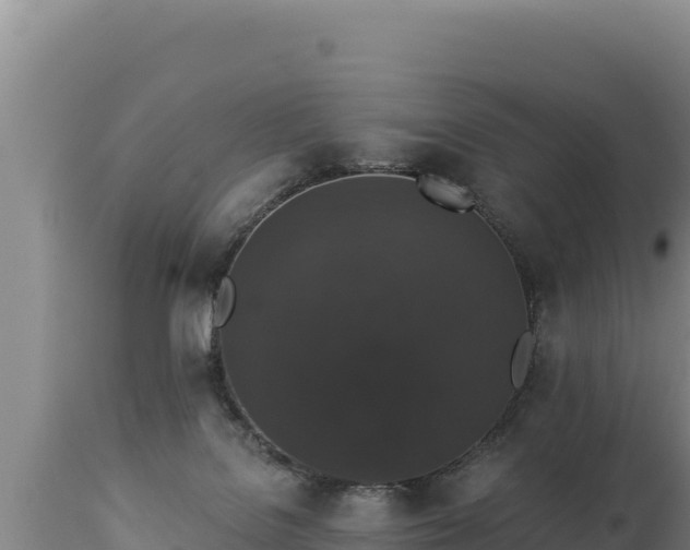 X0000112820076200908281540