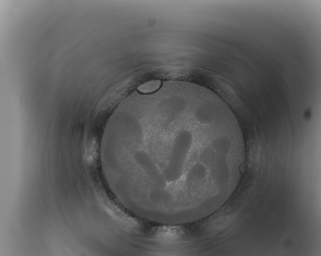 X0000112820077200908281540