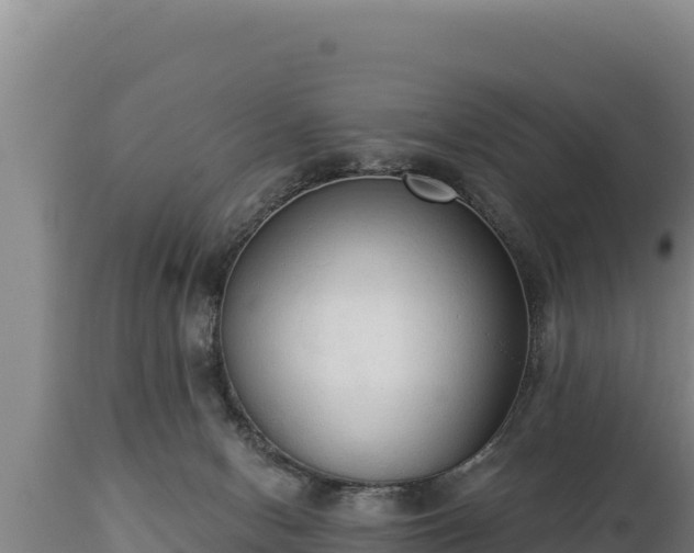 X0000112820078200908281540