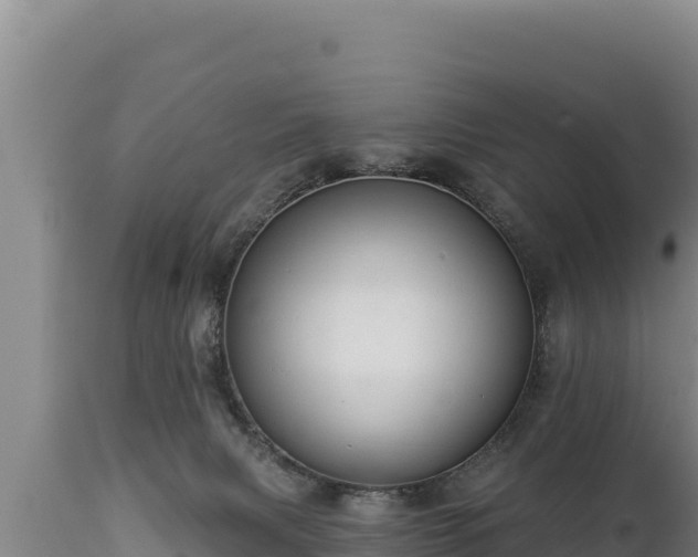 X0000112820079200908281540