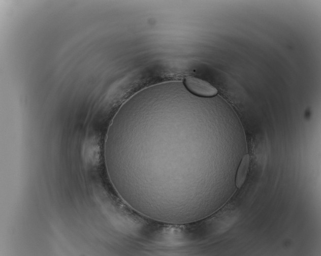 X0000112820080200908281540