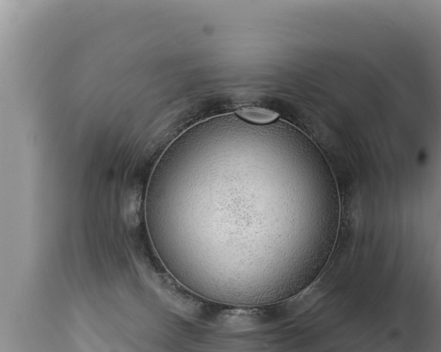 X0000112820082200908281541