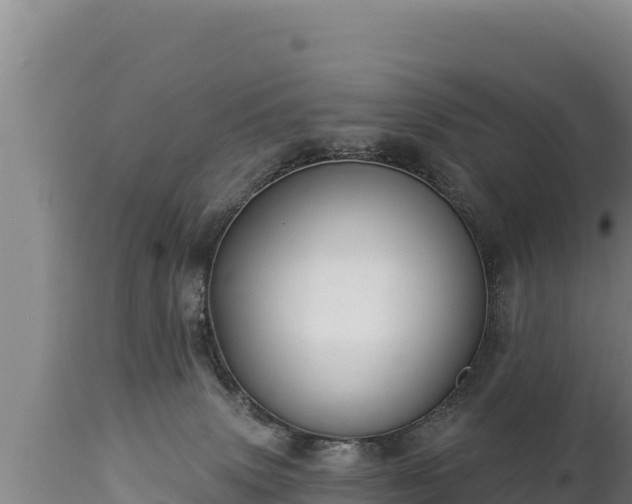 X0000112820083200908281541