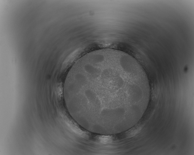 X0000112820085200908281541