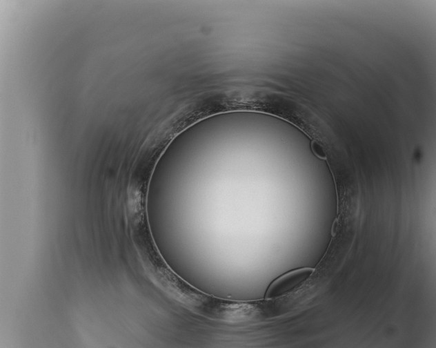 X0000112820087200908281541