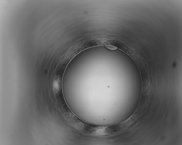 X0000112820090200908281541