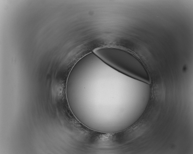 X0000112820092200908281541