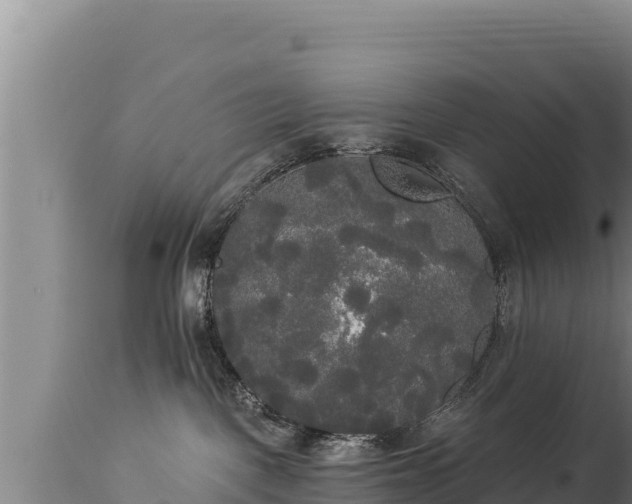 X0000112820093200908281541