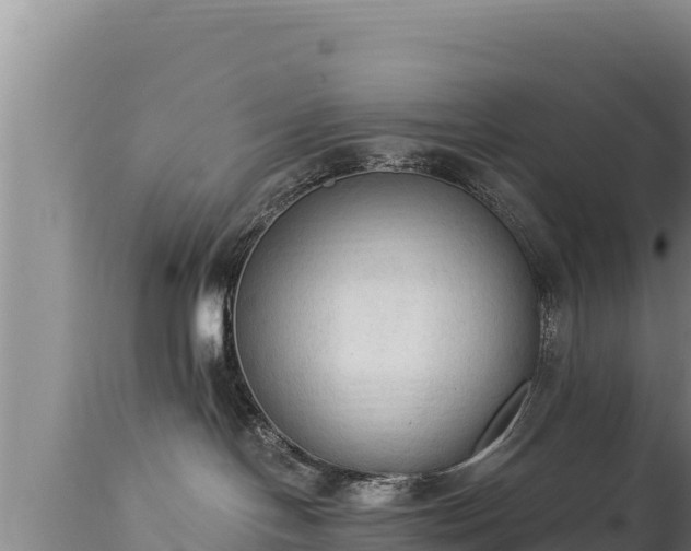 X0000112820094200908281541