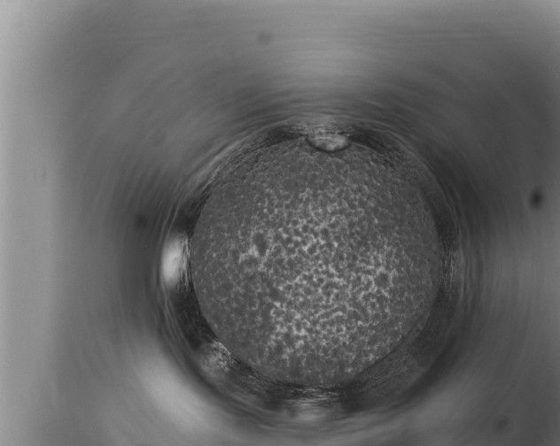 X0000112820095200908281541