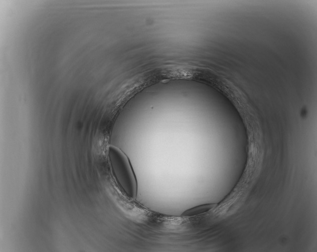 X0000112820096200908281541