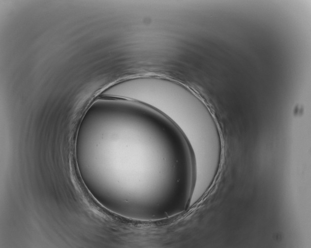 X0000112820097200908281540