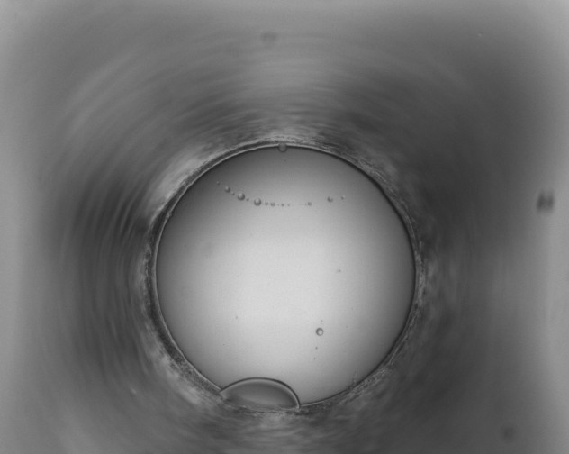 X0000112820098200908281540