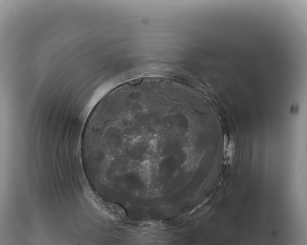 X0000112820099200908281540