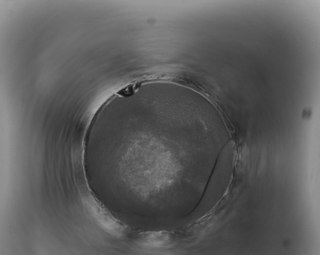 X0000112820100200908281540