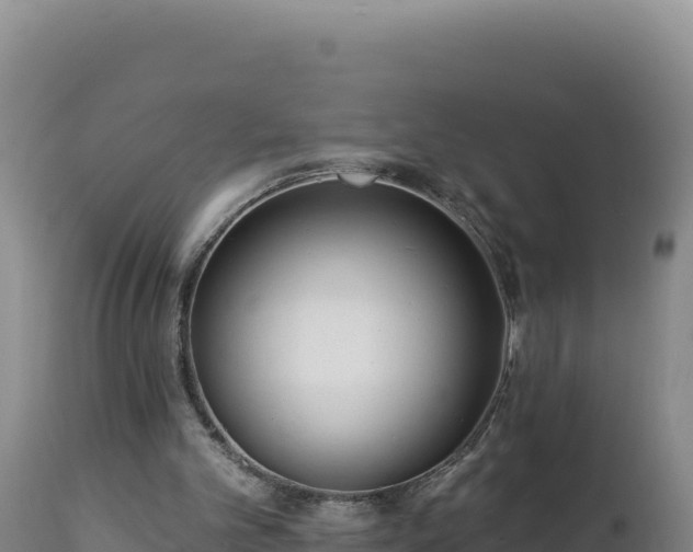 X0000112820101200908281540