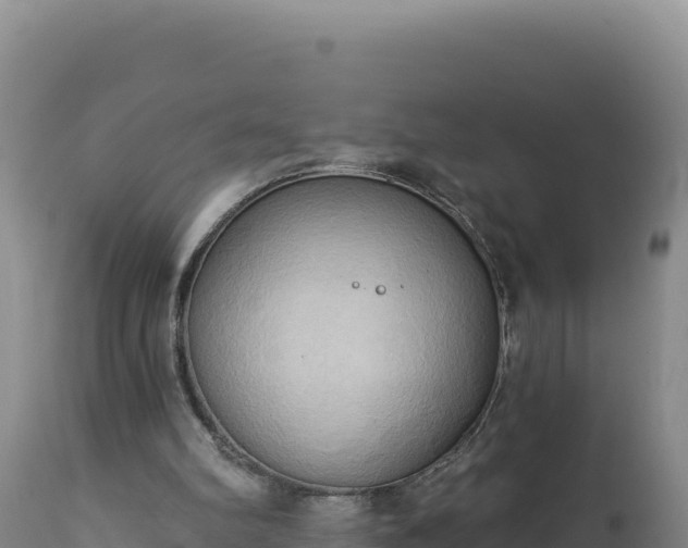 X0000112820102200908281540