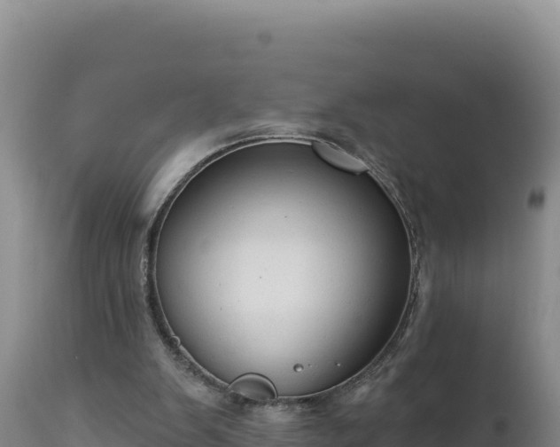 X0000112820103200908281540