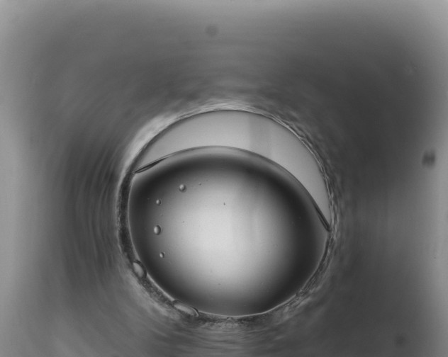 X0000112820104200908281540