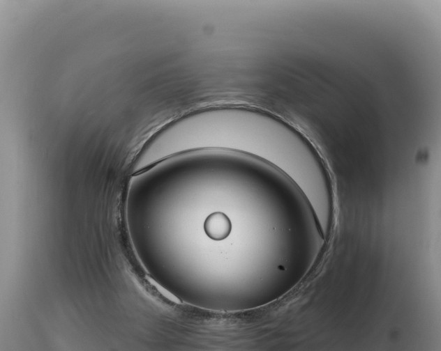 X0000112820105200908281540