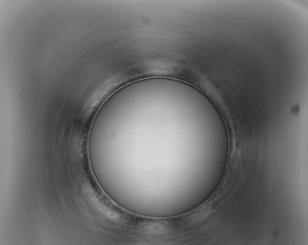 X0000112820106200908281540