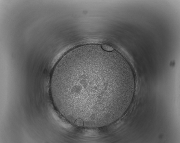 X0000112820107200908281540