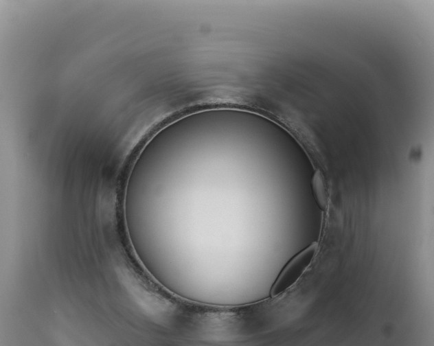 X0000112820108200908281540