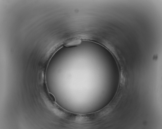 X0000112820109200908281540