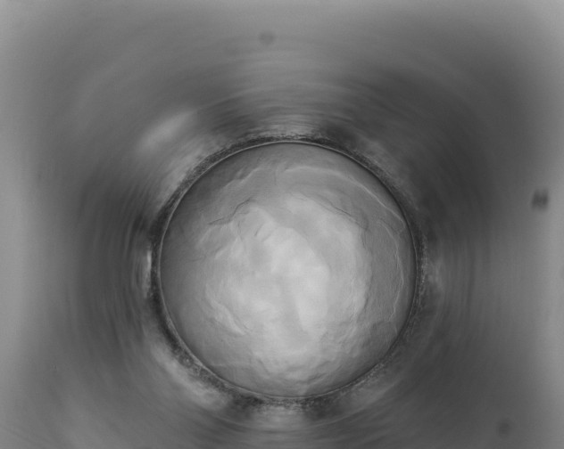 X0000112820110200908281540