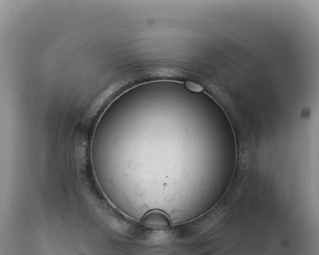 X0000112820111200908281540