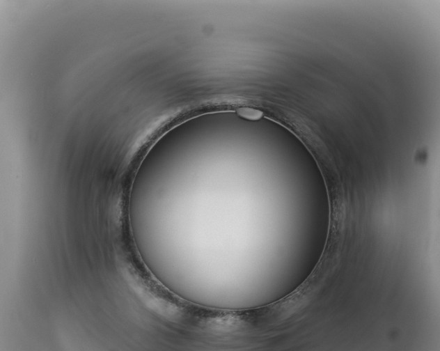 X0000112820112200908281540