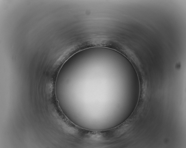 X0000112820113200908281540