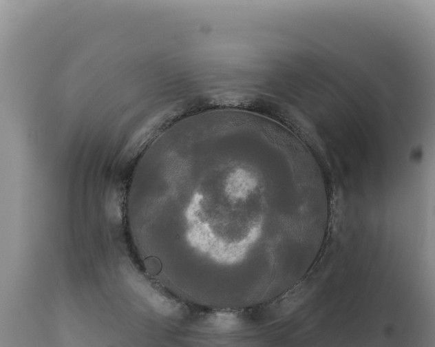 X0000112820114200908281540