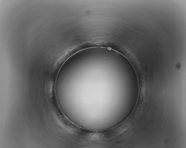 X0000112820115200908281540