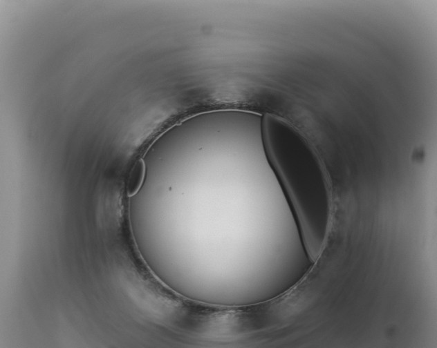 X0000112820116200908281540