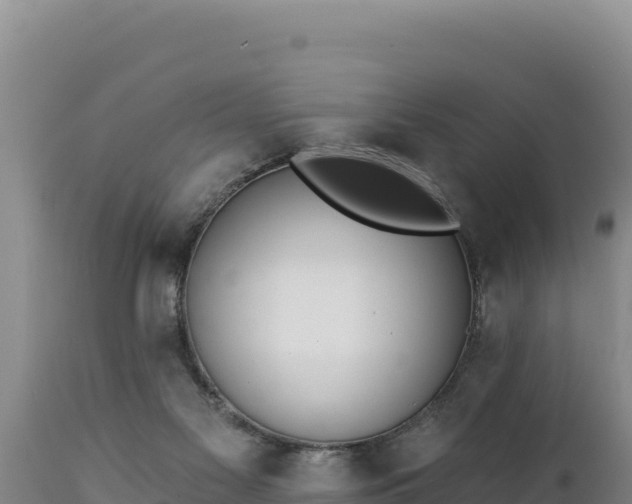 X0000112820117200908281540